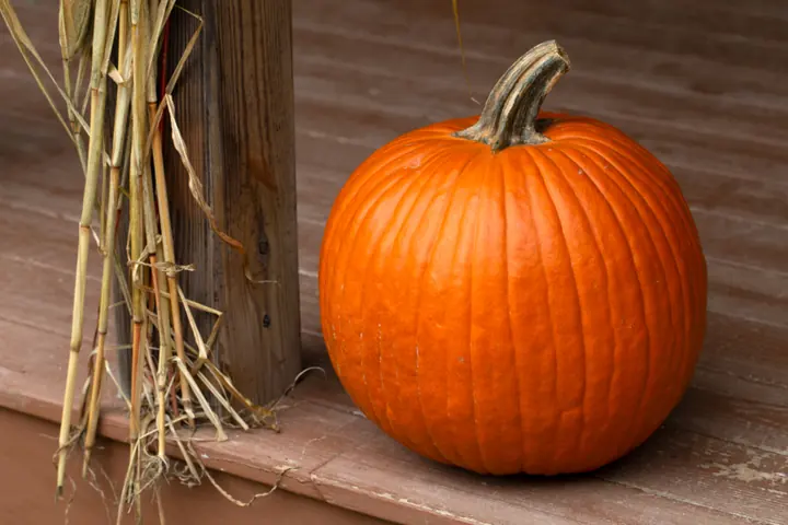 Front porch decorated with pumpkins, mums, and a cozy autumn welcome